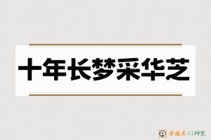 十年长梦采华芝-字体家AI神笔