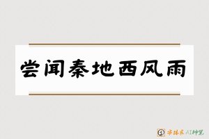 尝闻秦地西风雨-字体家AI神笔