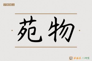 苑物-字体家AI神笔