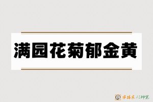 满园花菊郁金黄-字体家AI神笔