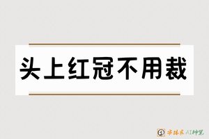 头上红冠不用裁-字体家AI神笔