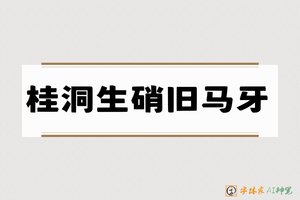 桂洞生硝旧马牙-字体家AI神笔