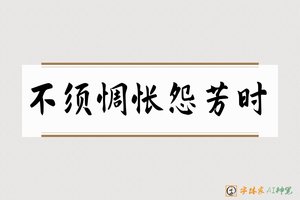 不须惆怅怨芳时-字体家AI神笔