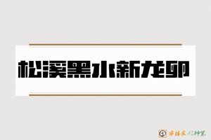 松溪黑水新龙卵-字体家AI神笔