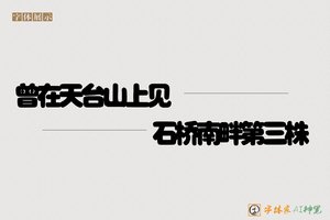 曾在天台山上见石桥南畔第三株-字体家AI神笔