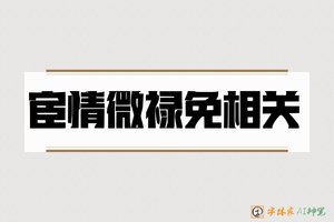 宦情微禄免相关-字体家AI神笔