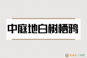 中庭地白树栖鸦-字体家AI神笔