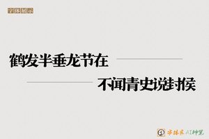 鹤发半垂龙节在不闻青史说封侯-字体家AI神笔