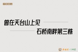 曾在天台山上见石桥南畔第三株-字体家AI神笔