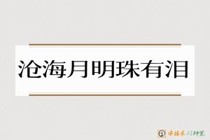 沧海月明珠有泪-字体家AI神笔