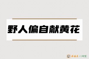 野人偏自献黄花-字体家AI神笔