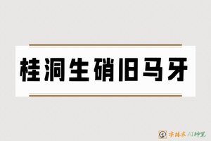 桂洞生硝旧马牙-字体家AI神笔