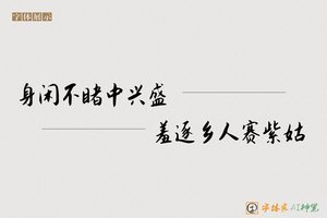 身闲不睹中兴盛羞逐乡人赛紫姑-字体家AI神笔