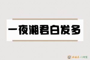 一夜湘君白发多-字体家AI神笔