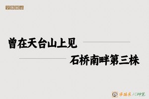 曾在天台山上见石桥南畔第三株-字体家AI神笔