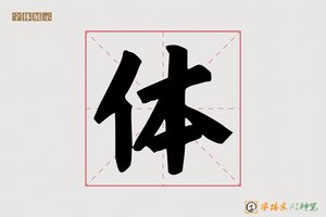 体-冯宝硬核体