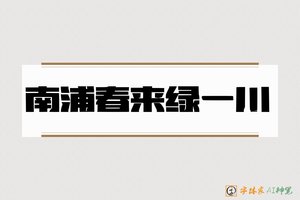 南浦春来绿一川-字体家AI神笔