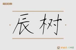 辰树-字体家AI神笔