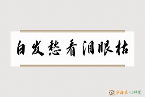 白发愁看泪眼枯-字体家AI神笔