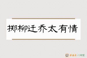 掷柳迁乔太有情-字体家AI神笔