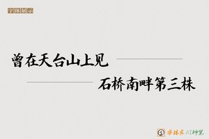 曾在天台山上见石桥南畔第三株-字体家AI神笔