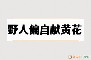 野人偏自献黄花-字体家AI神笔