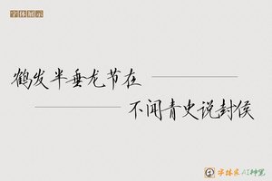 鹤发半垂龙节在不闻青史说封侯-字体家AI神笔