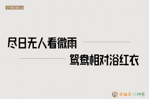 尽日无人看微雨鸳鸯相对浴红衣-字体家AI神笔