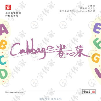 叶根友手写cabbage卷心菜英文单词书法素材字体设计可下载源文件