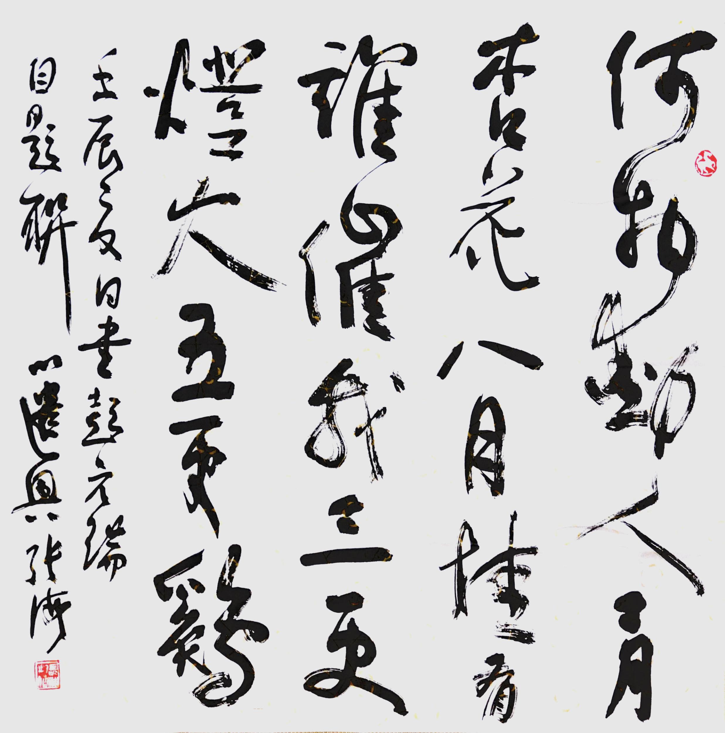 张海书法戊子年图片