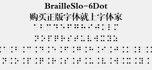 BrailleSlo-6Dot