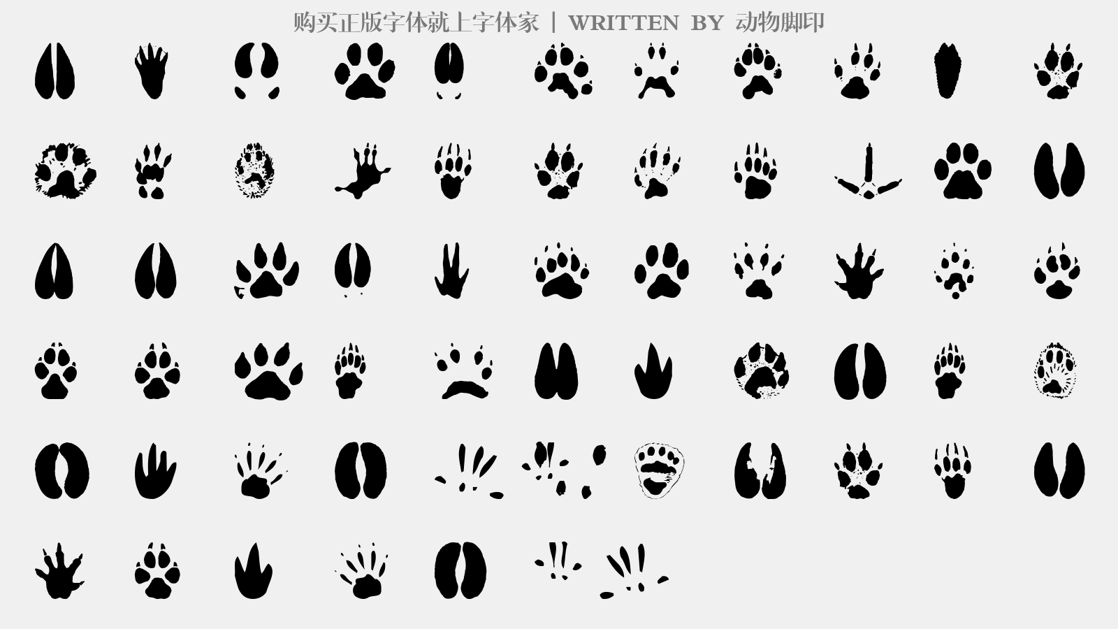 十二生肖动物脚印图图片