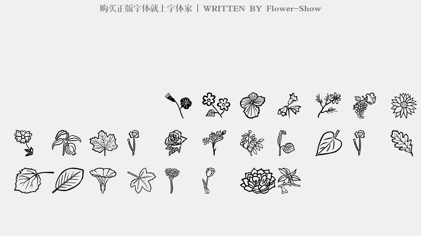 Flower-Show - 大写字母/小写字母/数字