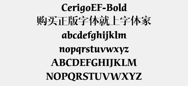 CerigoEF-Bold