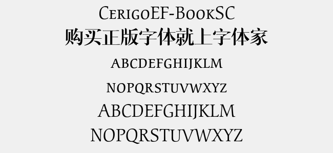 CerigoEF-BookSC