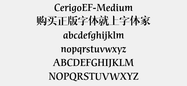 CerigoEF-Medium