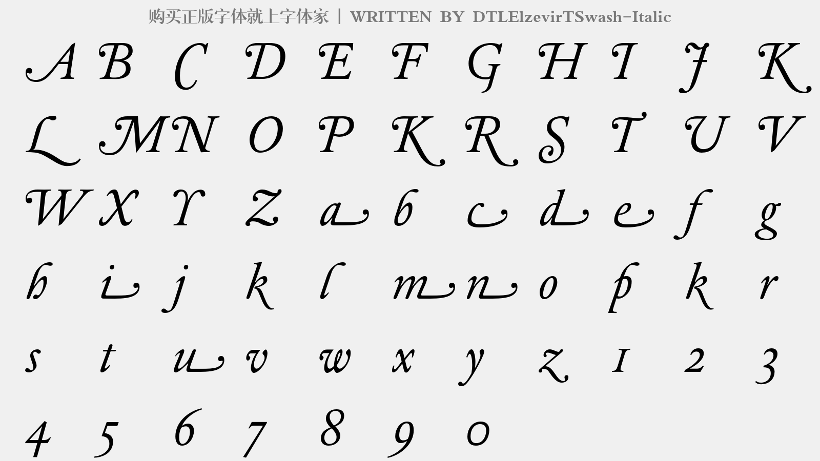 DTLElzevirTSwash-Italic - 大写字母/小写字母/数字