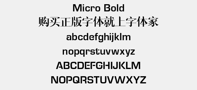 Micro Bold免费字体下载 - 英文字体免费下载尽在字体家