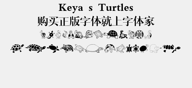 Keya s Turtles