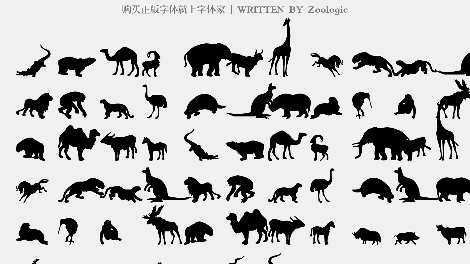 Zoologic - 大写字母/小写字母/数字