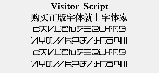 Visitor Script
