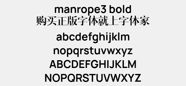 manrope3 bold