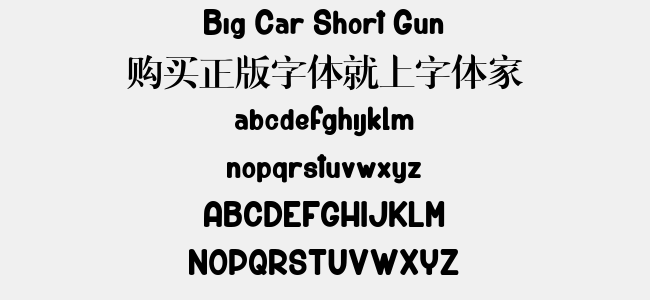 Big Car Short Gun