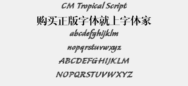 CM Tropical Script