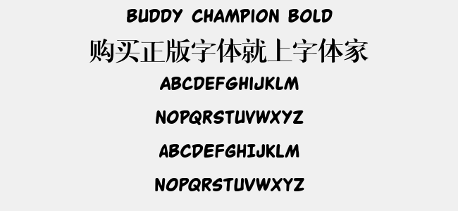 Buddy Champion Bold