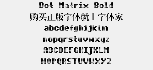 Dot Matrix Bold