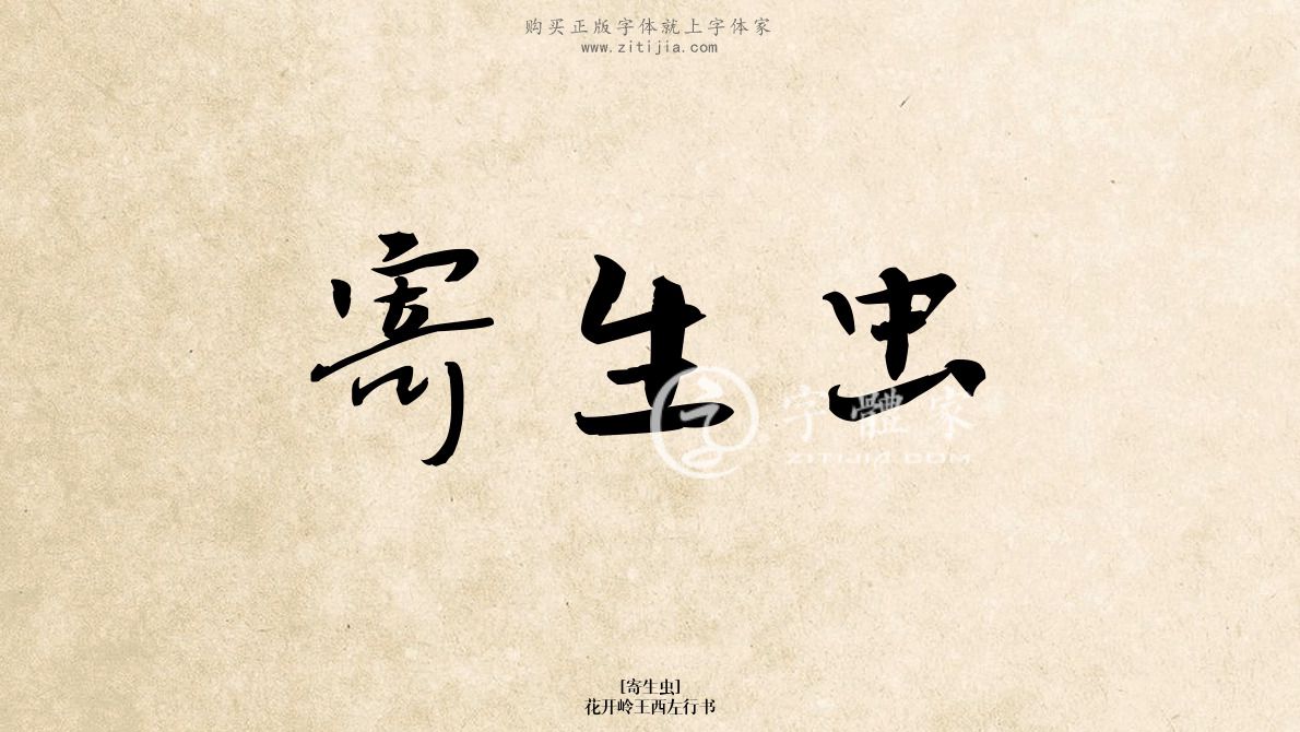 寄生虫花开岭王西左行书在线生成各种成语搜索结果-字体家官网