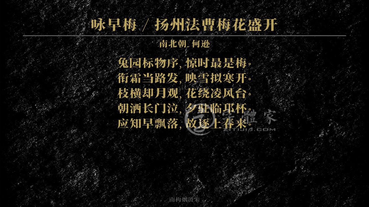 咏早梅扬州法曹梅花盛开