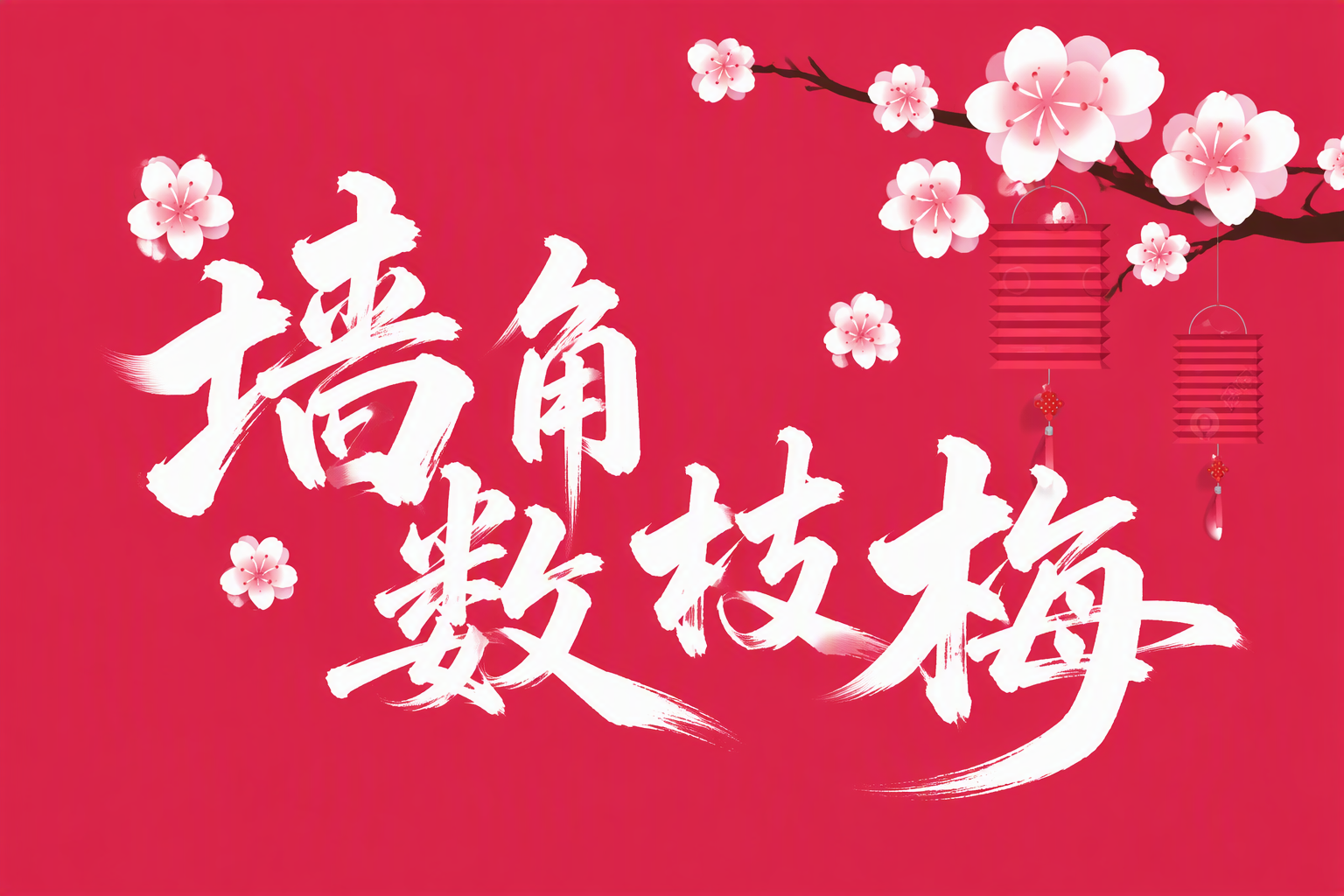 墙角数枝梅