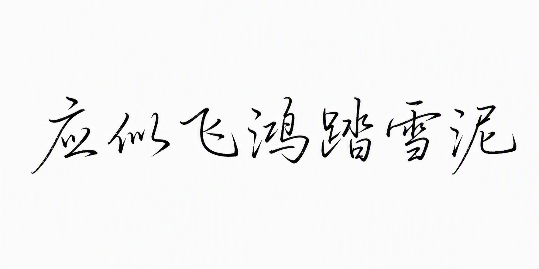 应似飞鸿踏雪泥